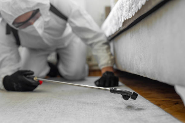 Professional Bed Bug Control technician working in Greenville, PA