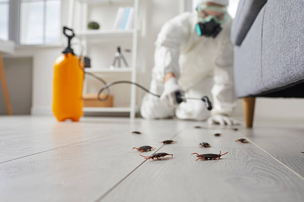 Trusted Termite Control service in Greenville, PA - Nex Pest Control